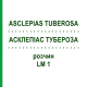 АСКЛЕПІАС ТУБЕРОЗА (ASCLEPIAS TUBEROSA) LM 1 розчин 10 мл - Гомеопатія ARCANA DR.SEWERIN