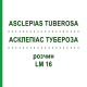 АСКЛЕПІАС ТУБЕРОЗА (ASCLEPIAS TUBEROSA) LM 16 розчин 10 мл - Гомеопатія ARCANA DR.SEWERIN