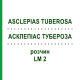 АСКЛЕПІАС ТУБЕРОЗА (ASCLEPIAS TUBEROSA) LM 2 розчин 10 мл - Гомеопатія ARCANA DR.SEWERIN