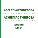 АСКЛЕПІАС ТУБЕРОЗА (ASCLEPIAS TUBEROSA) LM 21 розчин 10 мл - Гомеопатія ARCANA DR.SEWERIN