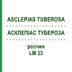 АСКЛЕПІАС ТУБЕРОЗА (ASCLEPIAS TUBEROSA) LM 23 розчин 10 мл - Гомеопатія ARCANA DR.SEWERIN