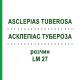 АСКЛЕПІАС ТУБЕРОЗА (ASCLEPIAS TUBEROSA) LM 27 розчин 10 мл - Гомеопатія ARCANA DR.SEWERIN