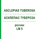 АСКЛЕПІАС ТУБЕРОЗА (ASCLEPIAS TUBEROSA) LM 5 розчин 10 мл - Гомеопатія ARCANA DR.SEWERIN