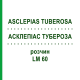 АСКЛЕПІАС ТУБЕРОЗА (ASCLEPIAS TUBEROSA) LM 60 розчин 10 мл - Гомеопатія ARCANA DR.SEWERIN