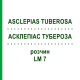 АСКЛЕПІАС ТУБЕРОЗА (ASCLEPIAS TUBEROSA) LM 7 розчин 10 мл - Гомеопатія ARCANA DR.SEWERIN