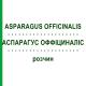 АСПАРАГУС ОФФИЦИНАЛИС (ASPARAGUS OFFICINALIS) раствор 50 мл - Гомеопатия DHU
