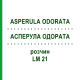 АСПЕРУЛА ОДОРАТА (ASPERULA ODORATA) LM 21 раствор 10 мл - Гомеопатия ARCANA DR.SEWERIN