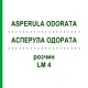 АСПЕРУЛА ОДОРАТА (ASPERULA ODORATA) LM 4 раствор 10 мл - Гомеопатия ARCANA DR.SEWERIN