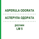 АСПЕРУЛА ОДОРАТА (ASPERULA ODORATA) LM 5 раствор 10 мл - Гомеопатия ARCANA DR.SEWERIN