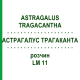 АСТРАГАЛУС ТРАГАКАНТА (ASTRAGALUS TRAGACANTHA) LM 11 розчин 10 мл - Гомеопатія ARCANA DR.SEWERIN