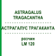 АСТРАГАЛУС ТРАГАКАНТА (ASTRAGALUS TRAGACANTHA) LM 120 розчин 10 мл - Гомеопатія ARCANA DR.SEWERIN
