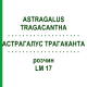 АСТРАГАЛУС ТРАГАКАНТА (ASTRAGALUS TRAGACANTHA) LM 17 розчин 10 мл - Гомеопатія ARCANA DR.SEWERIN