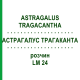 АСТРАГАЛУС ТРАГАКАНТА (ASTRAGALUS TRAGACANTHA) LM 24 розчин 10 мл - Гомеопатія ARCANA DR.SEWERIN