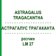 АСТРАГАЛУС ТРАГАКАНТА (ASTRAGALUS TRAGACANTHA) LM 27 розчин 10 мл - Гомеопатія ARCANA DR.SEWERIN