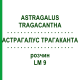 АСТРАГАЛУС ТРАГАКАНТА (ASTRAGALUS TRAGACANTHA) LM 9 розчин 10 мл - Гомеопатія ARCANA DR.SEWERIN