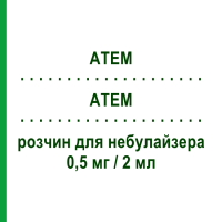 АТЕМ (ATEM) 0,5 мг/2 мл раствор для небулайзера 10 шт 2 мл - Ипратропия бромид PROMEDICA