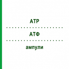 АТФ (ATP) ампулы 100 шт - Гомеопатия BIOLOGISCHE HEILMITTEL HEEL