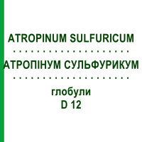 АТРОПИНУМ СУЛЬФУРИКУМ (ATROPINUM SULFURICUM) D 12 глобули 10 г - Гомеопатия DHU