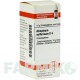 АТРОПИНУМ СУЛЬФУРИКУМ (ATROPINUM SULFURICUM) D 4 глобули 10 г - Гомеопатия DHU