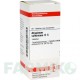 АТРОПИНУМ СУЛЬФУРИКУМ (ATROPINUM SULFURICUM) D 6 таблетки 80 шт - Гомеопатия DHU