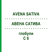 АВЕНА САТИВА (AVENA SATIVA) C 6 глобули 10 г - Гомеопатия SPAGYRA