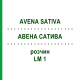 АВЕНА САТИВА (AVENA SATIVA) LM 1 раствор 10 мл - Гомеопатия ARCANA DR.SEWERIN