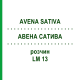 АВЕНА САТИВА (AVENA SATIVA) LM 13 раствор 10 мл - Гомеопатия ARCANA DR.SEWERIN