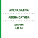 АВЕНА САТИВА (AVENA SATIVA) LM 14 раствор 10 мл - Гомеопатия ARCANA DR.SEWERIN