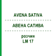 АВЕНА САТИВА (AVENA SATIVA) LM 17 раствор 10 мл - Гомеопатия ARCANA DR.SEWERIN