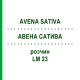АВЕНА САТИВА (AVENA SATIVA) LM 23 раствор 10 мл - Гомеопатия ARCANA DR.SEWERIN