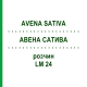 АВЕНА САТИВА (AVENA SATIVA) LM 24 раствор 10 мл - Гомеопатия ARCANA DR.SEWERIN
