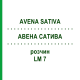 АВЕНА САТИВА (AVENA SATIVA) LM 7 раствор 10 мл - Гомеопатия ARCANA DR.SEWERIN