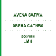 АВЕНА САТИВА (AVENA SATIVA) LM 8 раствор 10 мл - Гомеопатия ARCANA DR.SEWERIN