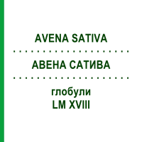 АВЕНА САТИВА (AVENA SATIVA) LM XVIII глобули 5 г - Гомеопатія DHU