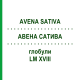АВЕНА САТИВА (AVENA SATIVA) LM XVIII глобули 5 г - Гомеопатия DHU