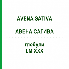 АВЕНА САТИВА (AVENA SATIVA) LM XXX глобули 5 г - Гомеопатия DHU