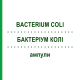 БАКТЕРИУМ КОЛИ (BACTERIUM COLI) ампулы 100 шт - Гомеопатия BIOLOGISCHE HEILMITTEL HEEL