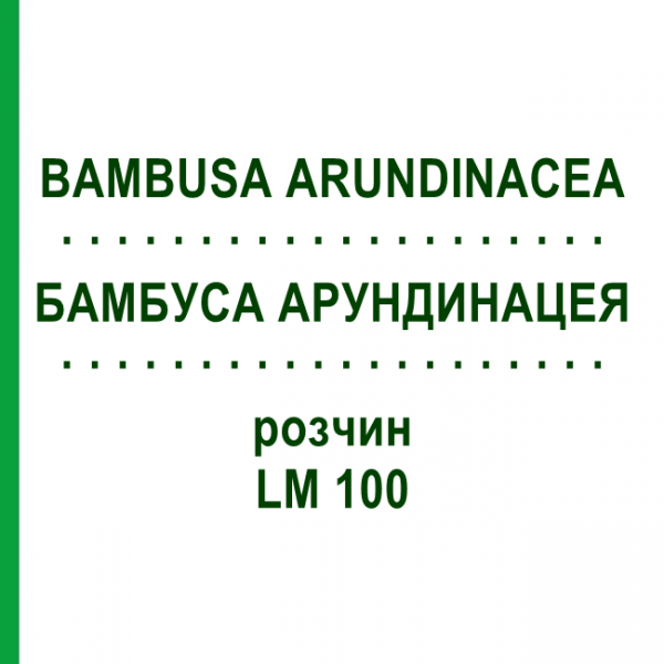 БАМБУСА АРУНДИНАЦЕЯ (BAMBUSA ARUNDINACEA) LM 100 розчин 10 мл - Гомеопатія ARCANA DR.SEWERIN