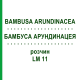 БАМБУСА АРУНДИНАЦЕЯ (BAMBUSA ARUNDINACEA) LM 11 розчин 10 мл - Гомеопатія ARCANA DR.SEWERIN
