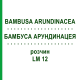 БАМБУСА АРУНДИНАЦЕЯ (BAMBUSA ARUNDINACEA) LM 12 розчин 10 мл - Гомеопатія ARCANA DR.SEWERIN