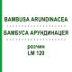 БАМБУСА АРУНДИНАЦЕЯ (BAMBUSA ARUNDINACEA) LM 120 розчин 10 мл - Гомеопатія ARCANA DR.SEWERIN
