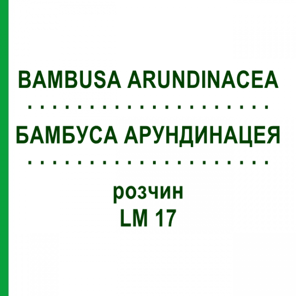 БАМБУСА АРУНДИНАЦЕЯ (BAMBUSA ARUNDINACEA) LM 17 розчин 10 мл - Гомеопатія ARCANA DR.SEWERIN
