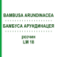 БАМБУСА АРУНДИНАЦЕЯ (BAMBUSA ARUNDINACEA) LM 18 розчин 10 мл - Гомеопатія ARCANA DR.SEWERIN