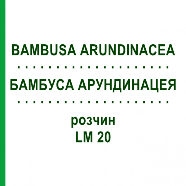 БАМБУСА АРУНДИНАЦЕЯ (BAMBUSA ARUNDINACEA) LM 20 розчин 10 мл - Гомеопатія ARCANA DR.SEWERIN