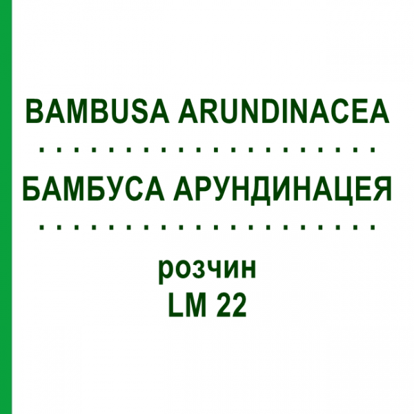 БАМБУСА АРУНДИНАЦЕЯ (BAMBUSA ARUNDINACEA) LM 22 розчин 10 мл - Гомеопатія ARCANA DR.SEWERIN