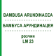 БАМБУСА АРУНДИНАЦЕЯ (BAMBUSA ARUNDINACEA) LM 23 розчин 10 мл - Гомеопатія ARCANA DR.SEWERIN