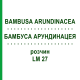 БАМБУСА АРУНДИНАЦЕЯ (BAMBUSA ARUNDINACEA) LM 27 розчин 10 мл - Гомеопатія ARCANA DR.SEWERIN