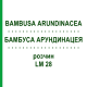 БАМБУСА АРУНДИНАЦЕЯ (BAMBUSA ARUNDINACEA) LM 28 розчин 10 мл - Гомеопатія ARCANA DR.SEWERIN