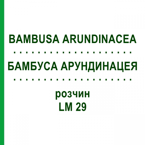 БАМБУСА АРУНДИНАЦЕЯ (BAMBUSA ARUNDINACEA) LM 29 розчин 10 мл - Гомеопатія ARCANA DR.SEWERIN