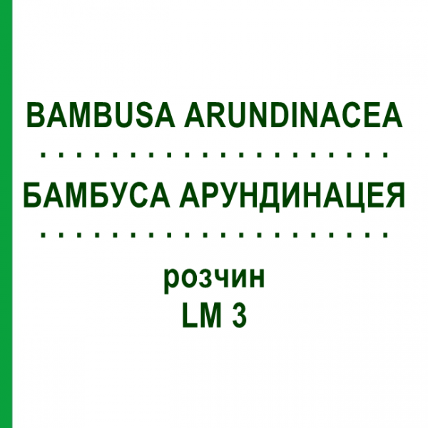 БАМБУСА АРУНДИНАЦЕЯ (BAMBUSA ARUNDINACEA) LM 3 розчин 10 мл - Гомеопатія ARCANA DR.SEWERIN